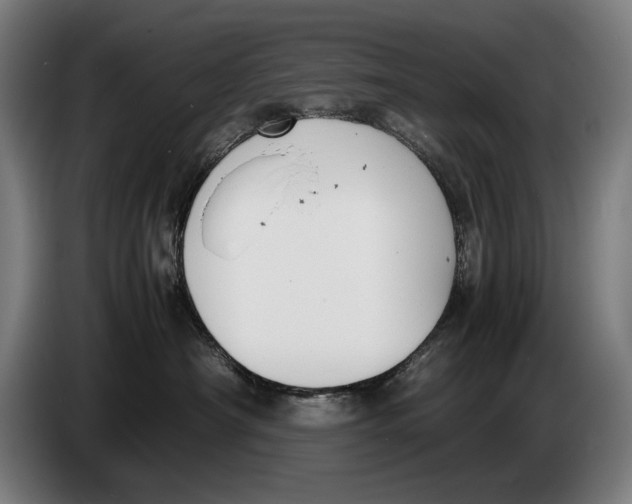 X0000086310430200704202006