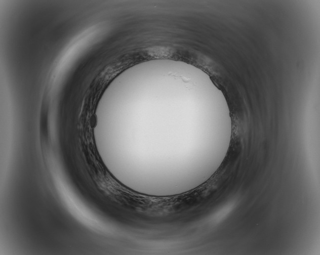 X0000086310431200704202006