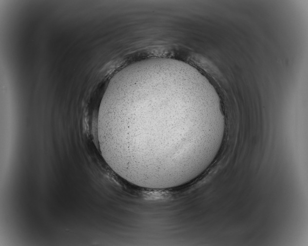 X0000086310432200704202006