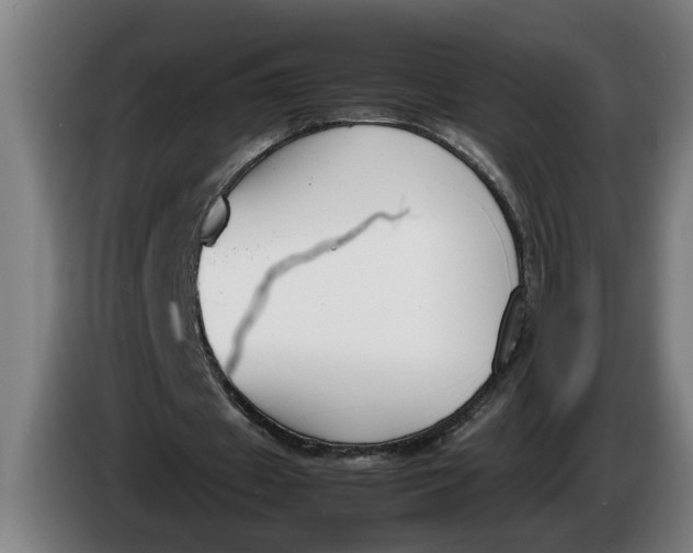 X0000086310433200704202005