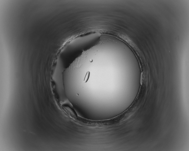 X0000086310434200704202005