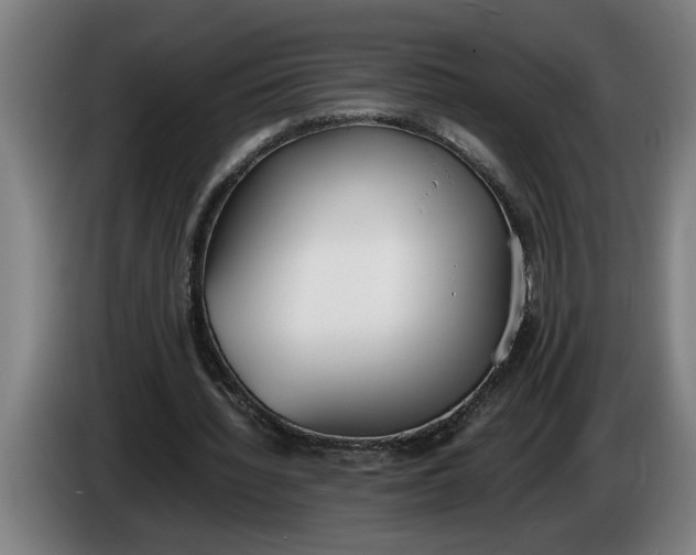 X0000086310436200704202005