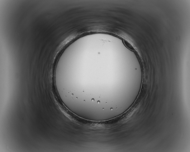 X0000086310437200704202005