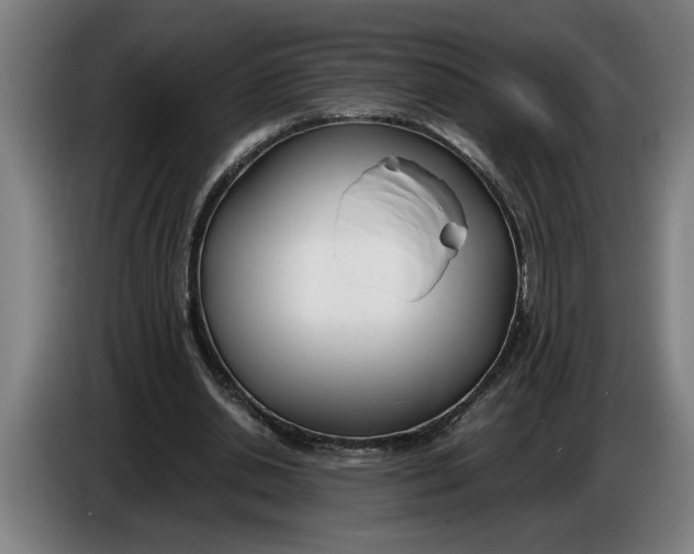 X0000086310438200704202005