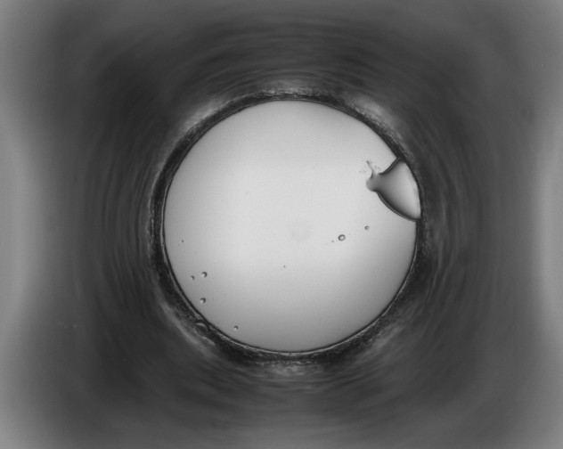 X0000086310439200704202005