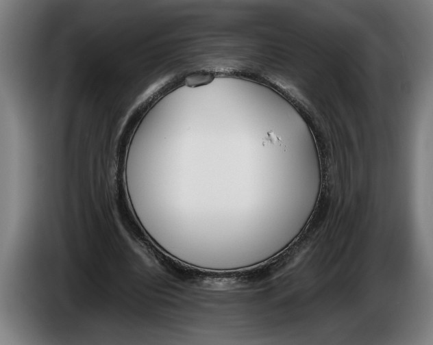 X0000086310440200704202005