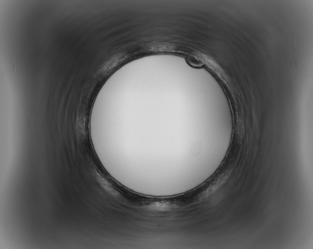 X0000086310441200704202005