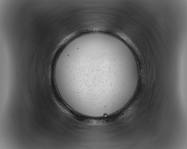 X0000086310442200704202005