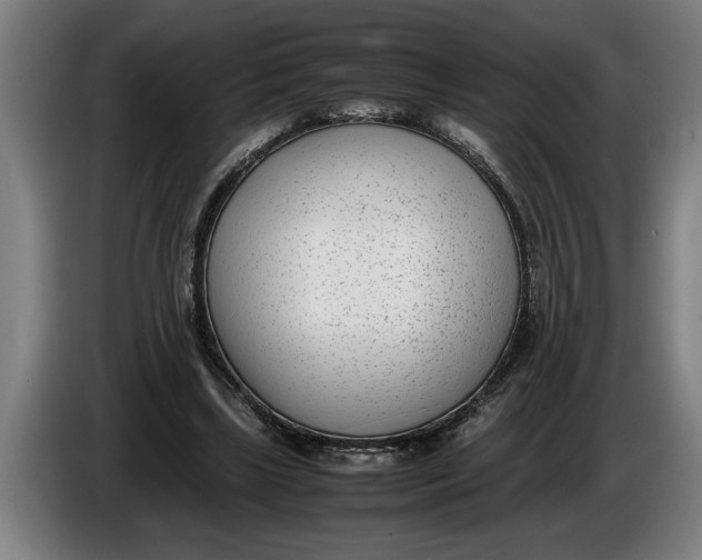 X0000086310443200704202005