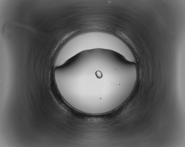 X0000086310444200704202005