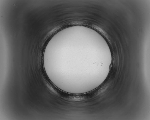 X0000086310445200704202005