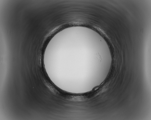 X0000086310446200704202005