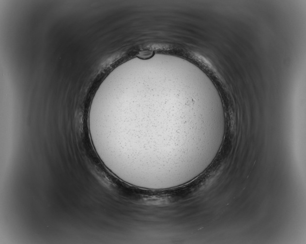 X0000086310447200704202005