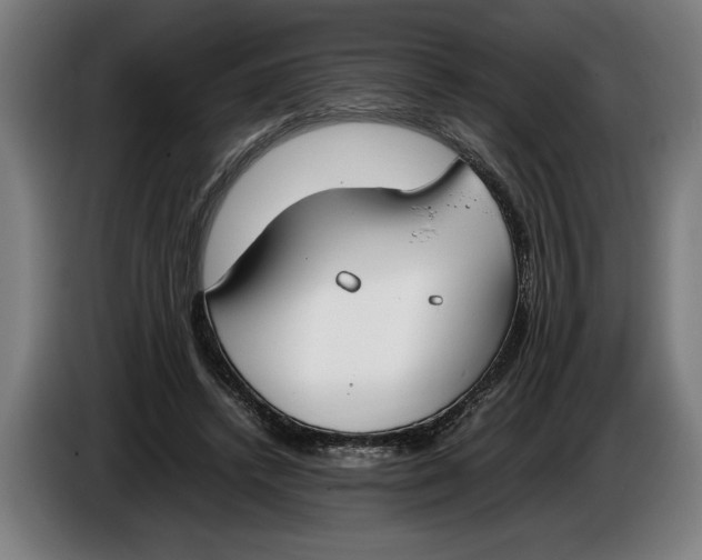 X0000086310448200704202005