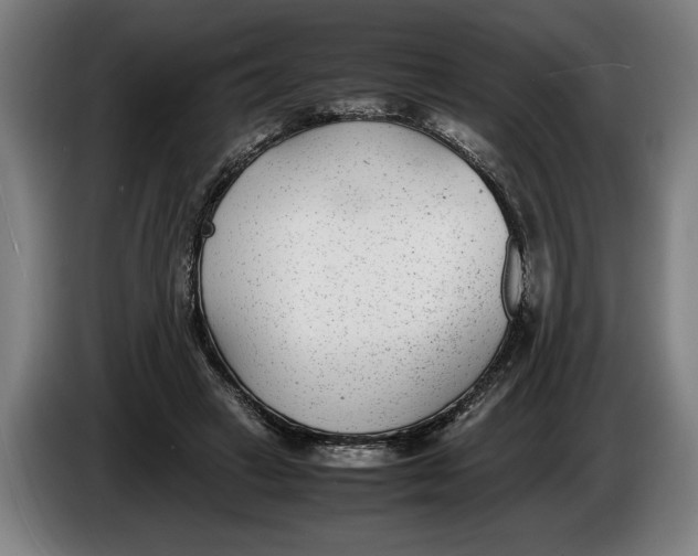 X0000086310449200704202005