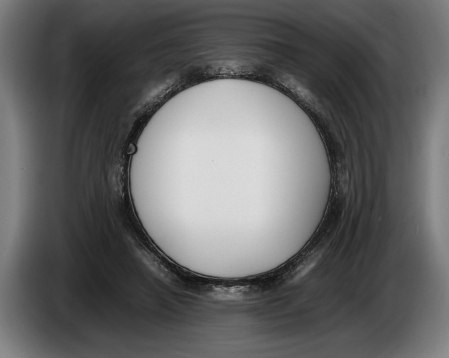 X0000086310450200704202005