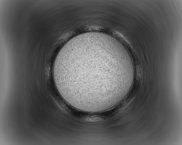 X0000086310451200704202005