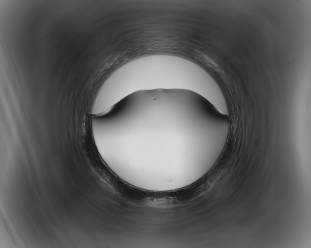 X0000086310452200704202005