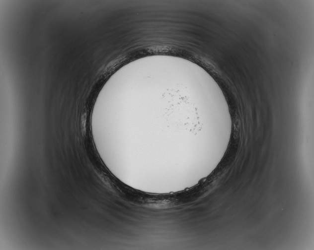 X0000086310454200704202005