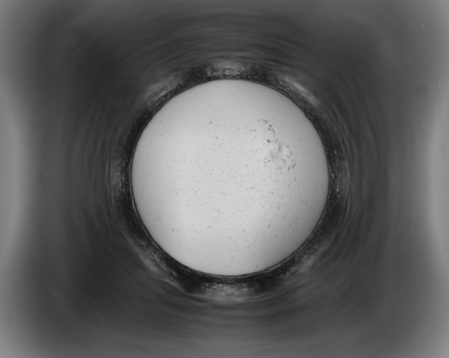 X0000086310455200704202005