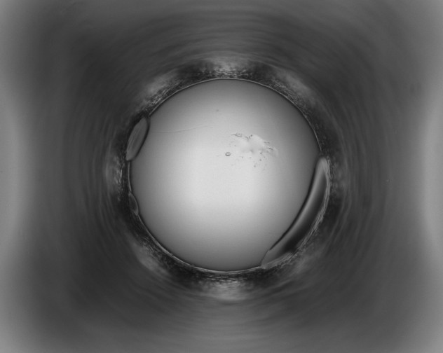 X0000086310456200704202005