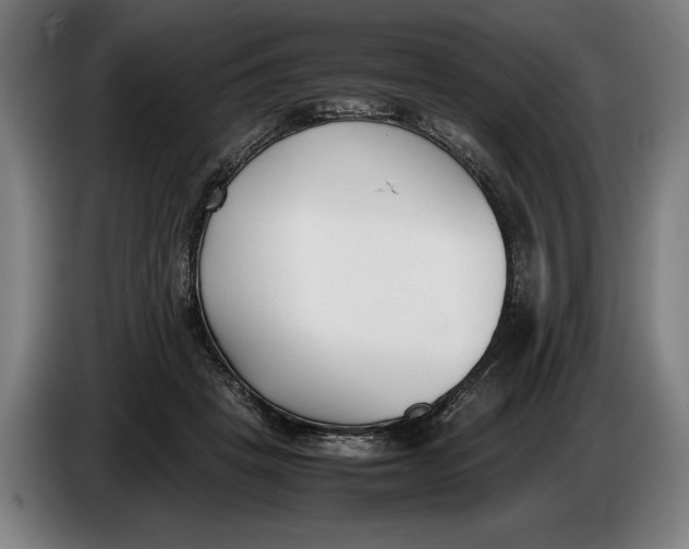 X0000086310457200704202005