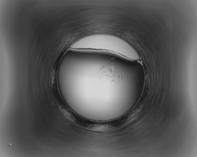 X0000086310458200704202006