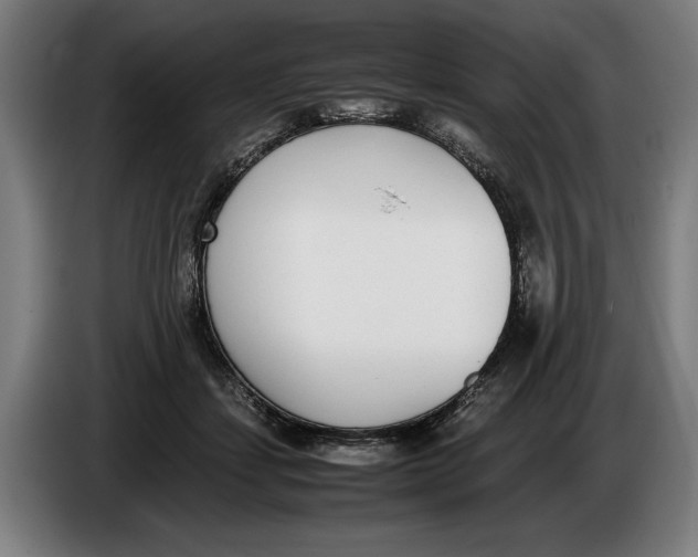 X0000086310459200704202006