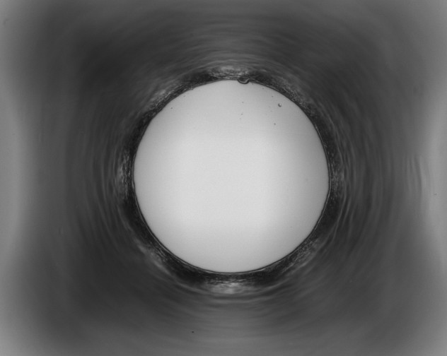 X0000086310460200704202006