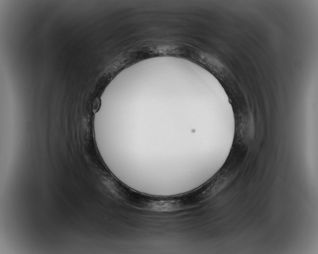 X0000086310461200704202006