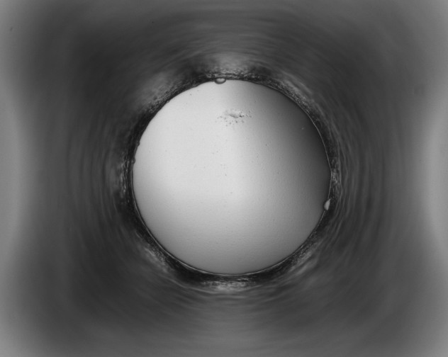 X0000086310462200704202006