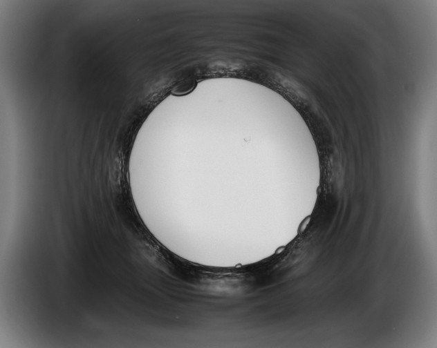 X0000086310463200704202006