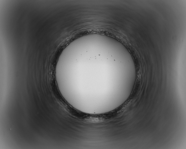 X0000086310464200704202006