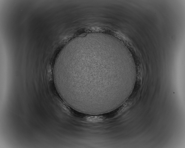 X0000086310465200704202006