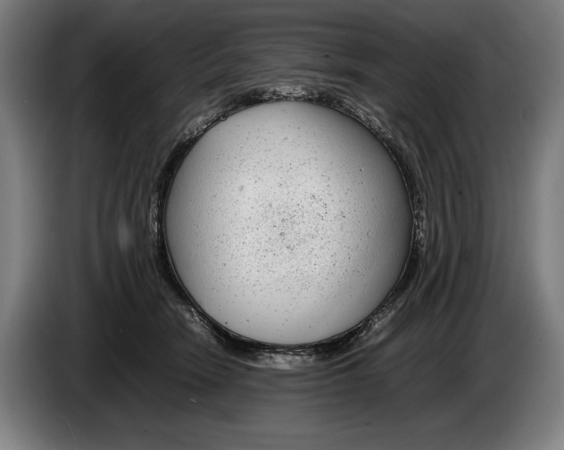 X0000086310466200704202006