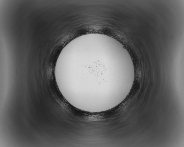 X0000086310468200704202006