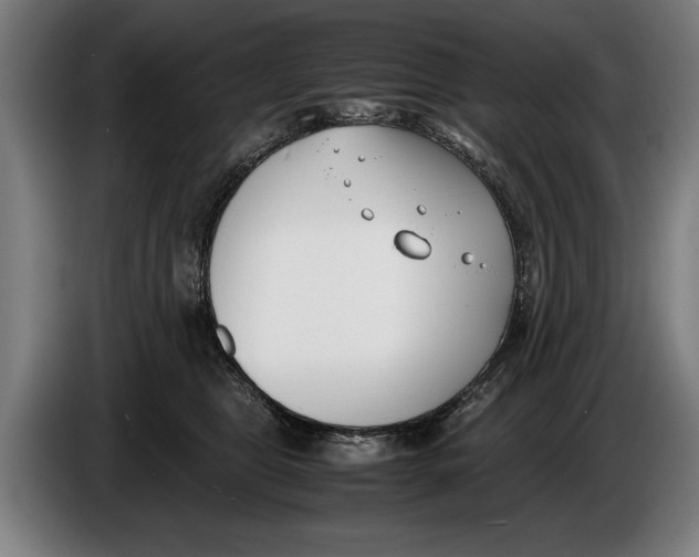 X0000086310469200704202006