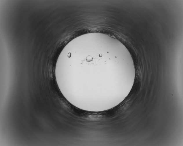 X0000086310470200704202006