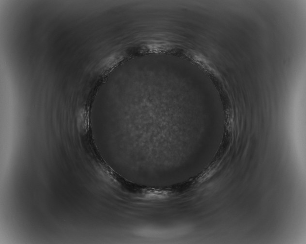 X0000086310471200704202006