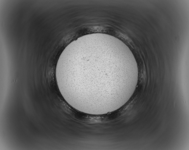 X0000086310473200704202006