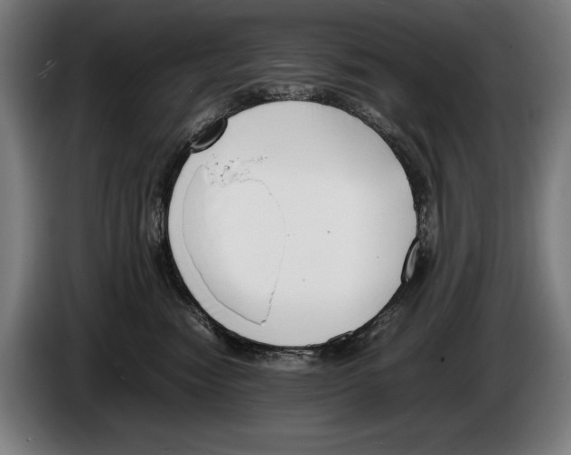 X0000086310474200704202006