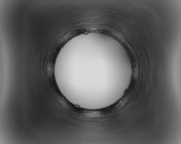 X0000086310476200704202006