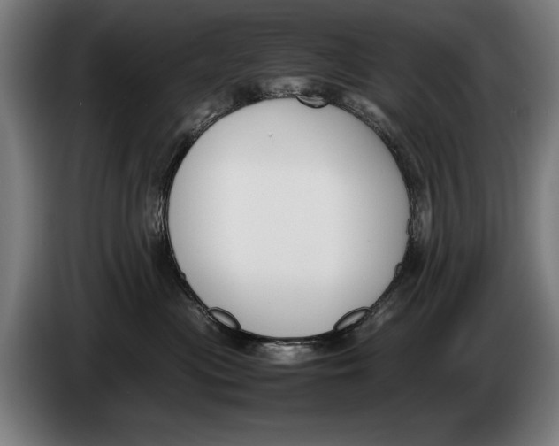 X0000086310477200704202006