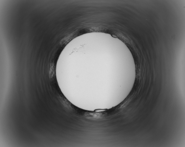 X0000086310478200704202006