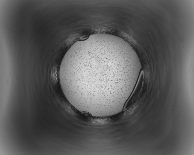 X0000086310479200704202006