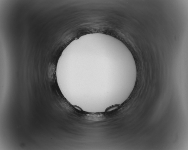 X0000086310480200704202006