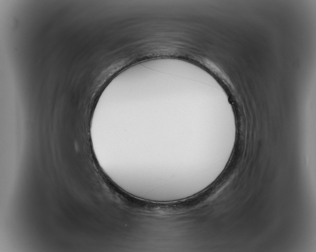 X0000086310481200704202005