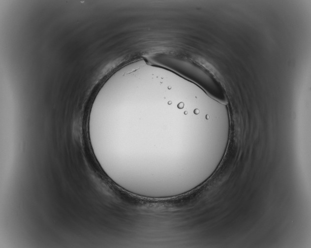 X0000086310482200704202005