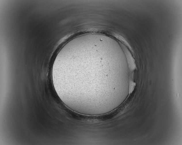 X0000086310483200704202005