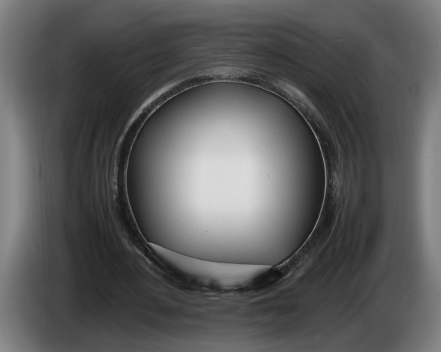 X0000086310484200704202005